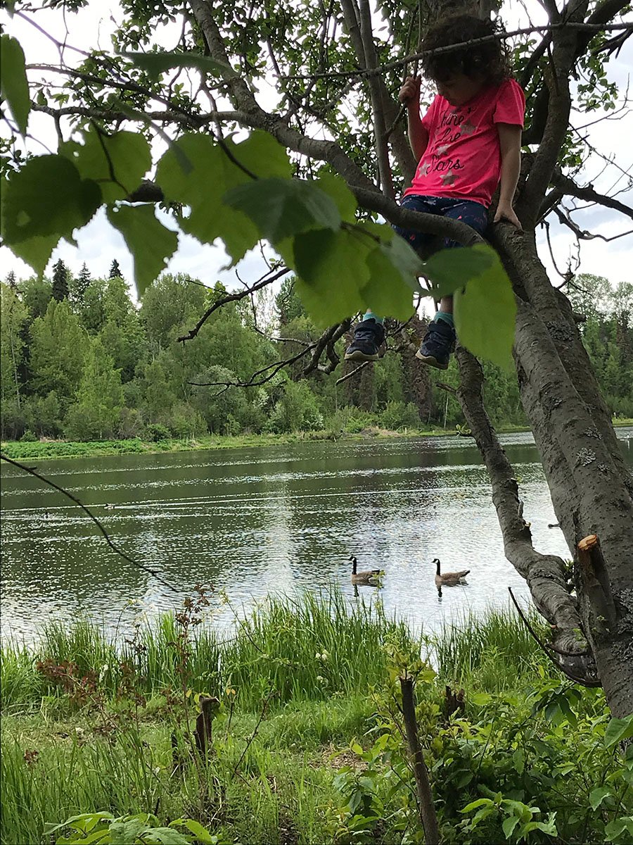 Therapy in nature
